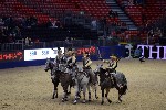 Quadrille - 00879